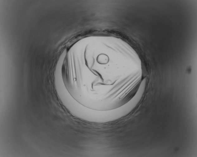 X0000115801349200912241844