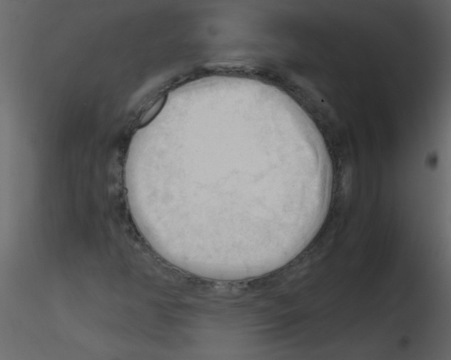 X0000115801350200912241844