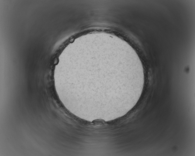 X0000115801352200912241844