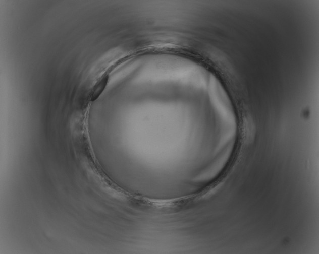 X0000115801353200912241844