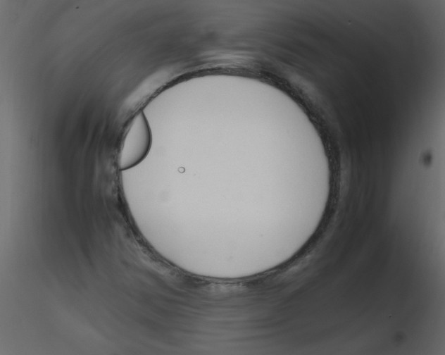 X0000115801354200912241844