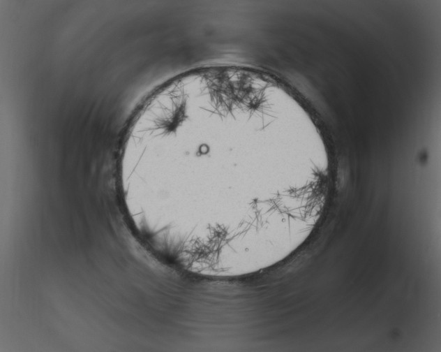 X0000115801356200912241844