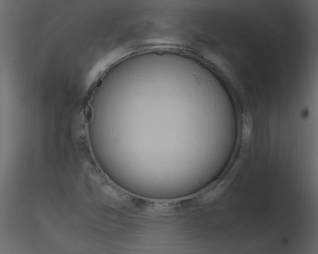 X0000115801357200912241844