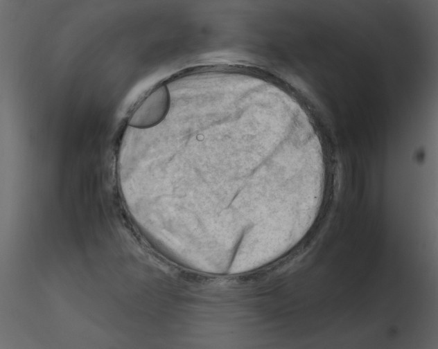 X0000115801358200912241844