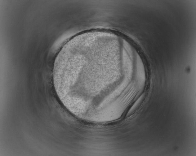 X0000115801359200912241844