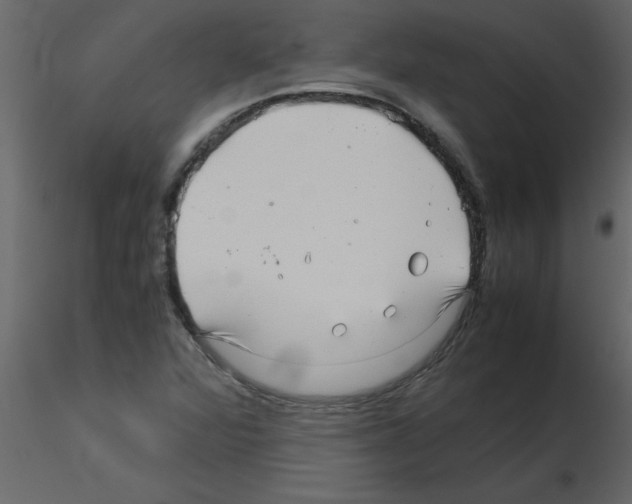 X0000115801360200912241844