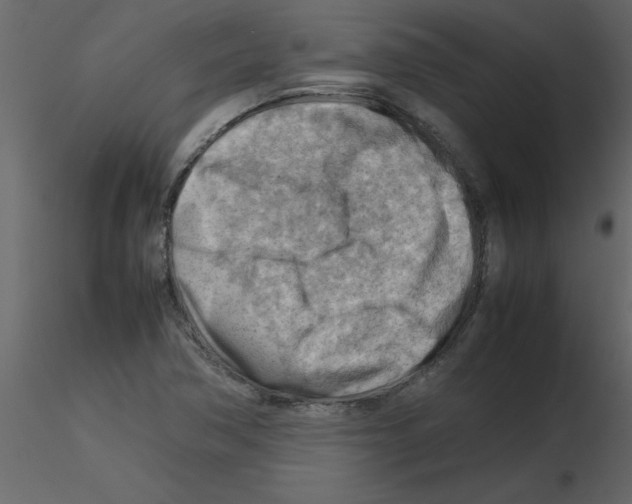 X0000115801362200912241844