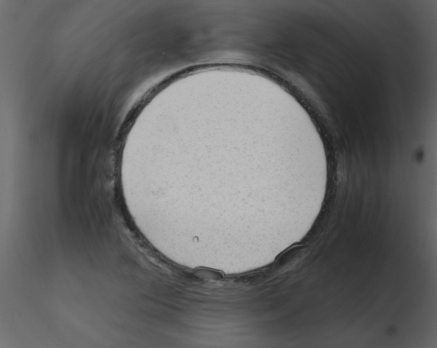 X0000115801364200912241844