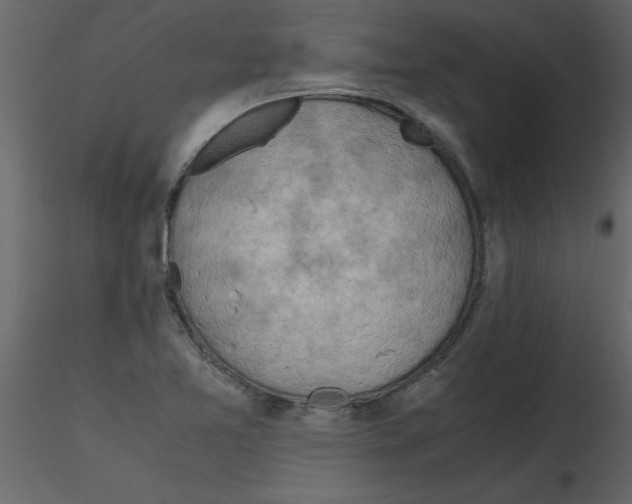 X0000115801365200912241844