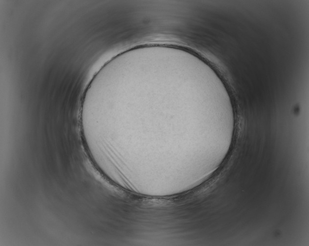 X0000115801374200912241844