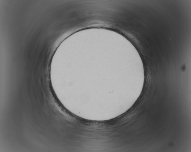 X0000115801375200912241844