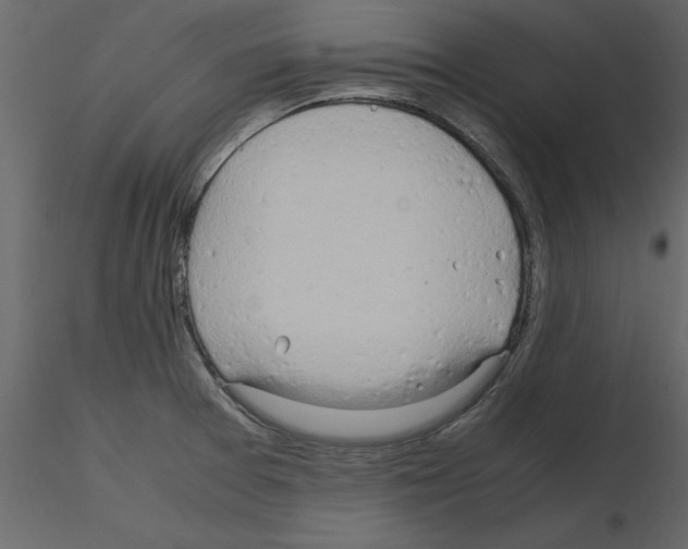 X0000115801377200912241844