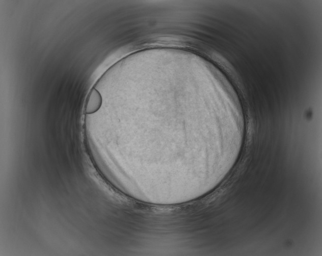 X0000115801378200912241844