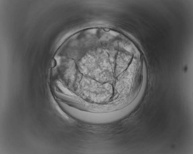 X0000115801383200912241844