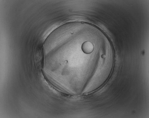 X0000115801385200912241844