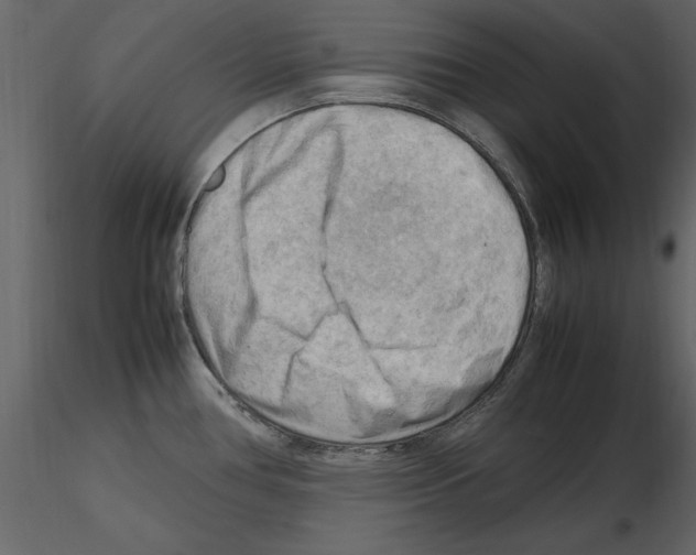 X0000115801386200912241844