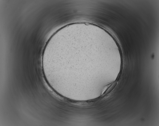 X0000115801388200912241844