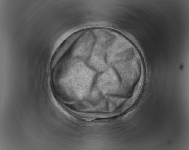 X0000115801389200912241844