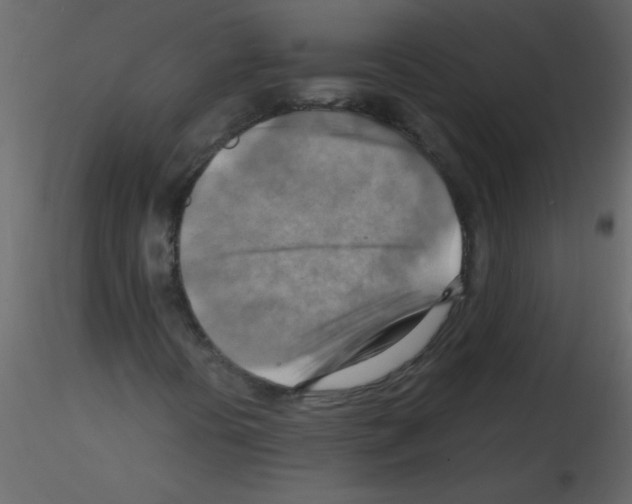 X0000115801394200912241843