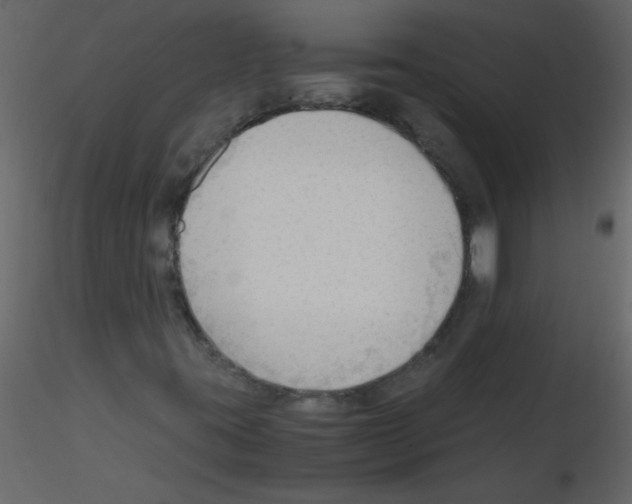 X0000115801395200912241843