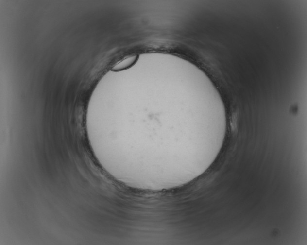 X0000115801396200912241843