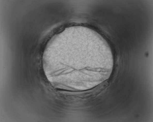 X0000115801398200912241843