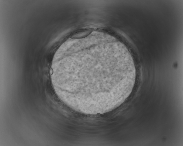 X0000115801399200912241843