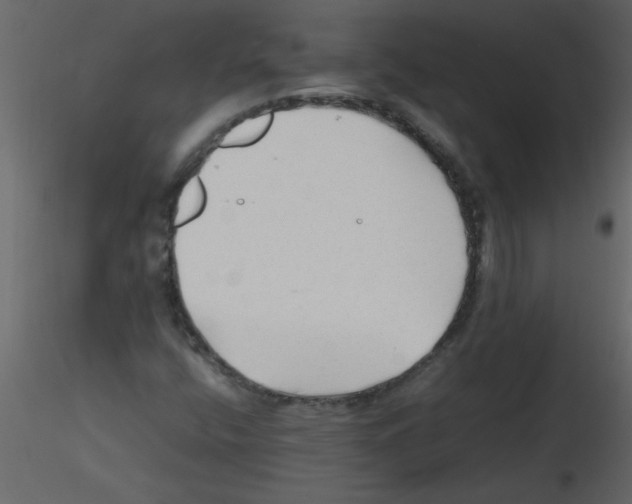 X0000115801400200912241843