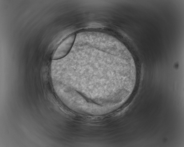 X0000115801401200912241843