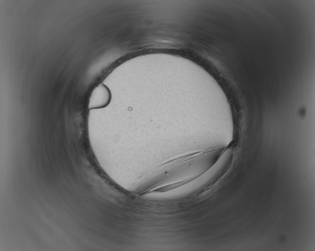 X0000115801402200912241843