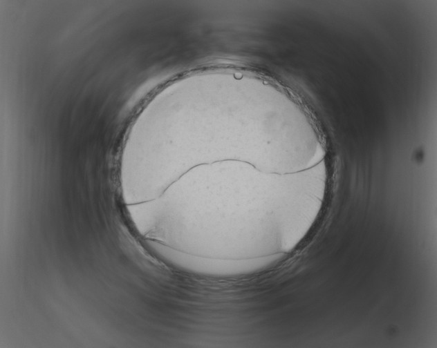 X0000115801404200912241843