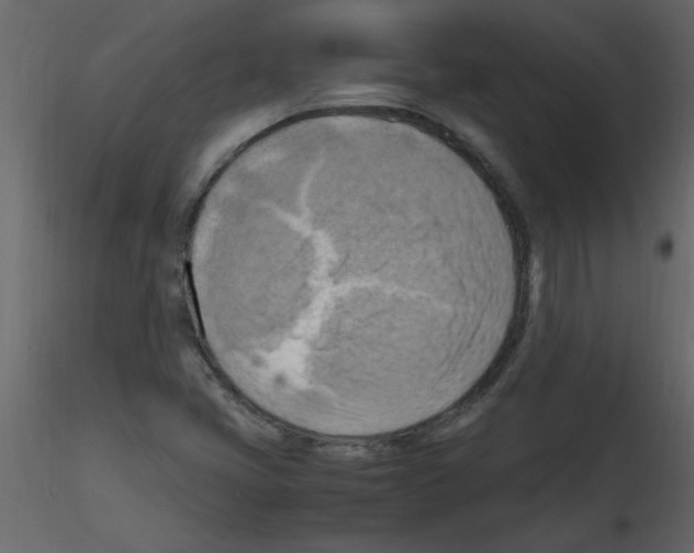 X0000115801405200912241843