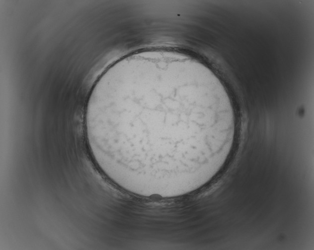 X0000115801409200912241843