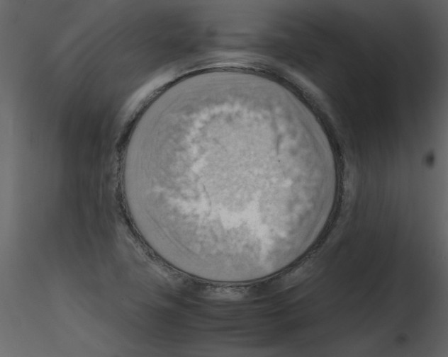 X0000115801411200912241843