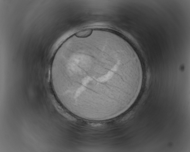 X0000115801413200912241843