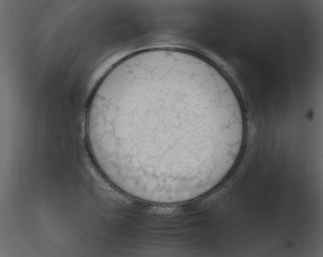 X0000115801415200912241843