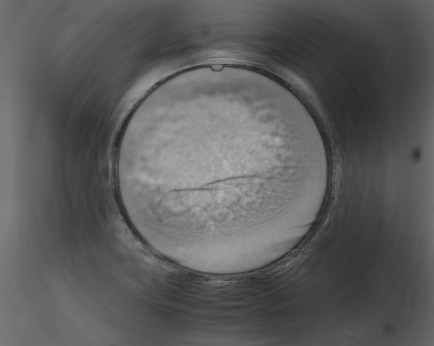 X0000115801419200912241843