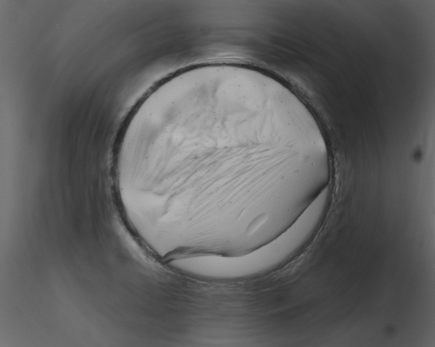 X0000115801422200912241843