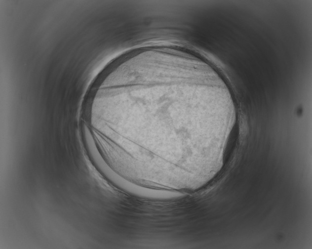 X0000115801423200912241843