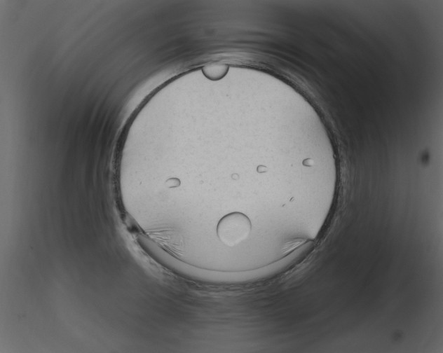 X0000115801426200912241843