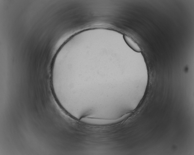 X0000115801430200912241844