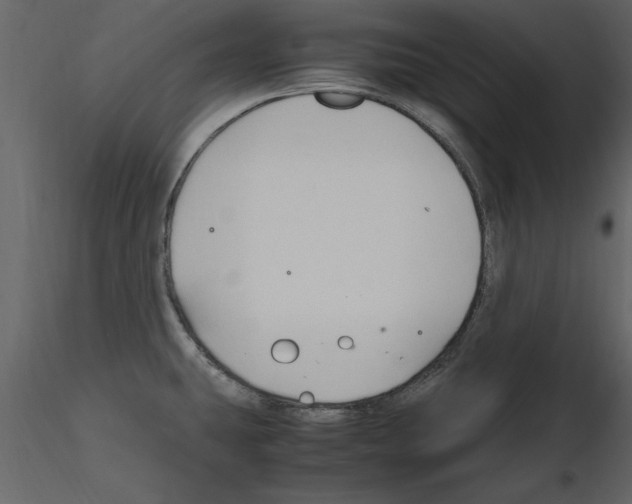 X0000115801431200912241844