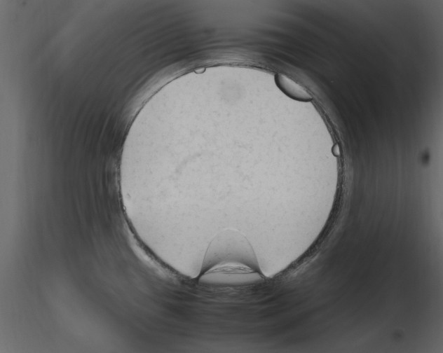 X0000115801433200912241844