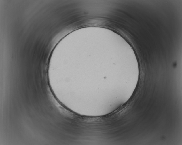 X0000115801434200912241844