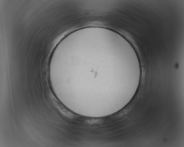 X0000115801435200912241844