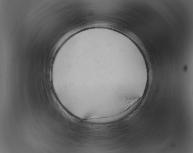 X0000115801436200912241844