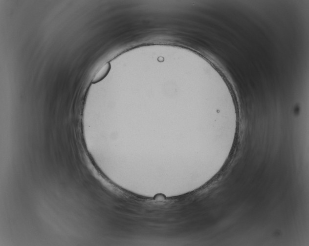 X0000115801437200912241844