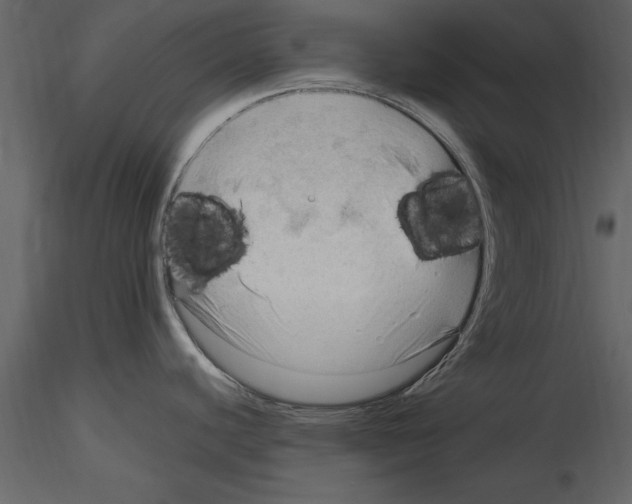 X0000115801440200912241844