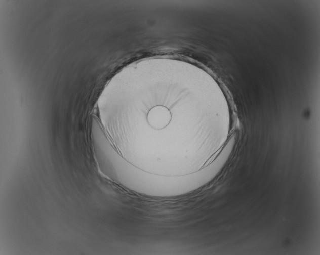 X0000115801441200912241843