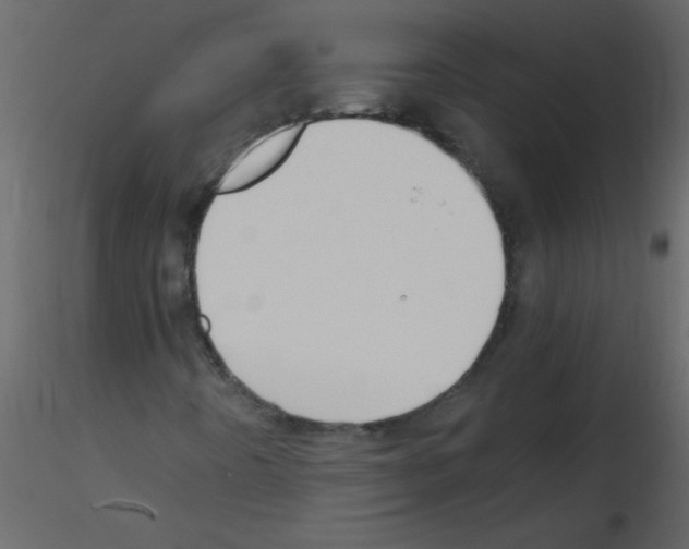 X0000115801442200912241843